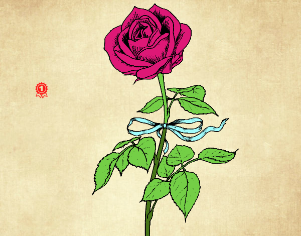 Desenho Uma rosa pintado por Amandandin
