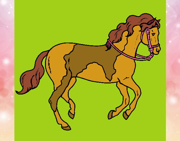 Desenho Cavalo 5 pintado por florbelinh