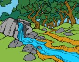Desenho Paisagem da floresta com um rio pintado por Mandy