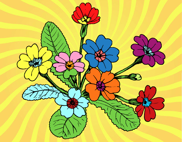 Desenho Primula pintado por VOVOTERESA
