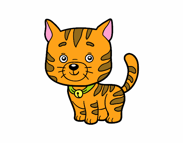 Desenho Um gato doméstico pintado por ameireles