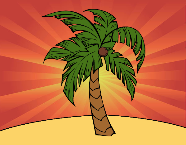 Desenho Uma palmeira pintado por Nandal2