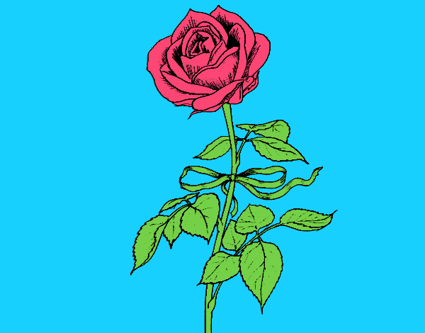 uma cheirosa rosa