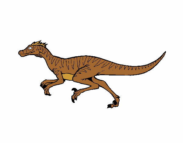 dinossauros Velociráptor