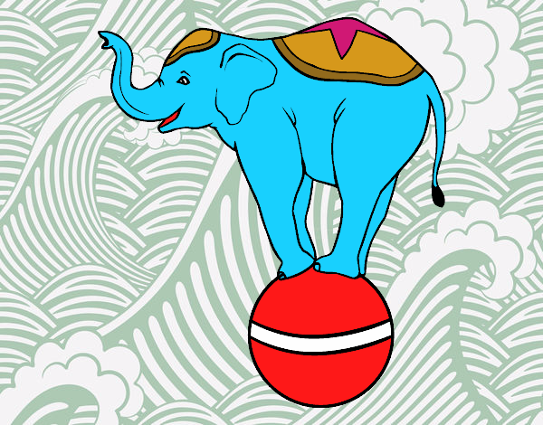 Desenho Elefante equilibrista pintado por Manoelaf