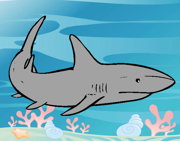 Desenho Um tubarão nadando pintado por dirce