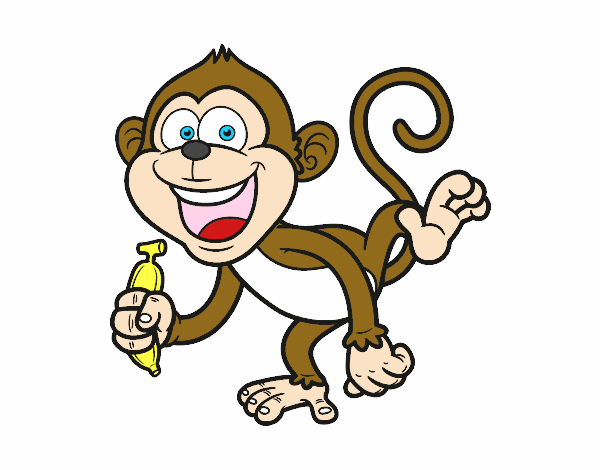 Desenho de Macaco-prego para Colorir - Colorir.com
