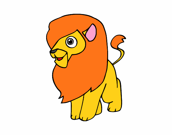 Um leão
