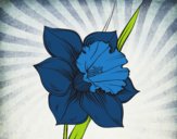 Desenho Flor de narciso pintado por MiaPlay