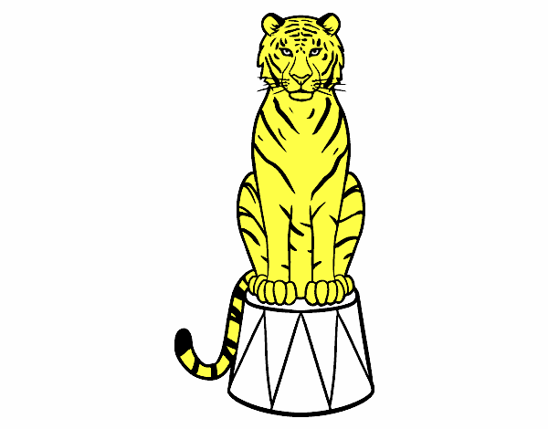 Desenho Tigre do circo pintado por leidimar 