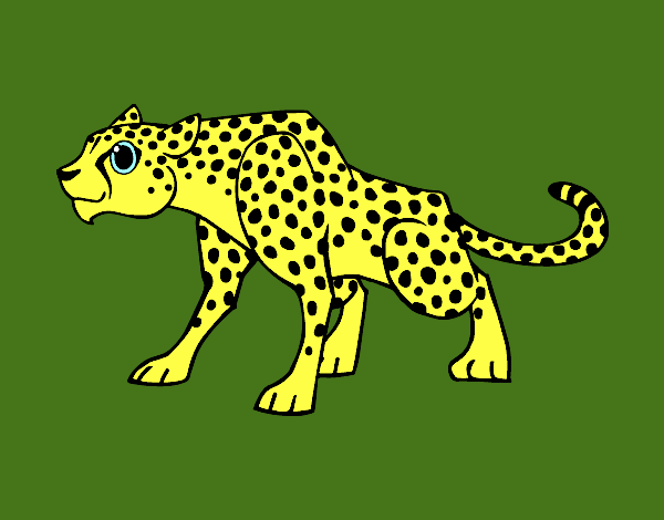 Desenho Um guepardo pintado por leidimar 
