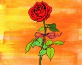 Desenho Uma rosa pintado por MiaPlay