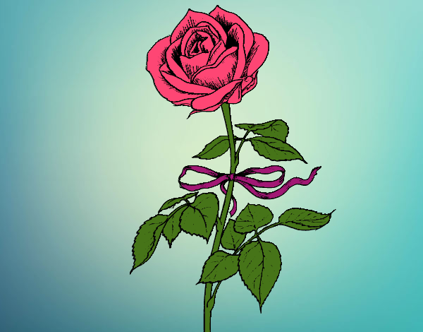 Desenho Uma rosa pintado por Olga53