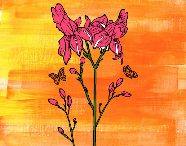 Desenho Flor de Iris pintado por LEHTY