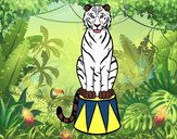 Desenho Tigre do circo pintado por Rafaelaros