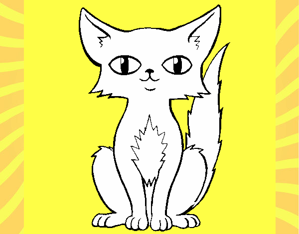 Desenho Gato persa pintado por danielt