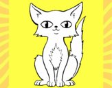 Desenho Gato persa pintado por danielt
