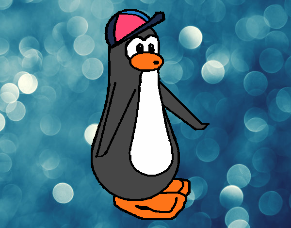 Pinguim com boné