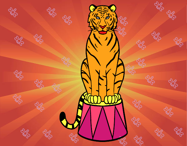 Desenho Tigre do circo pintado por BARBA1