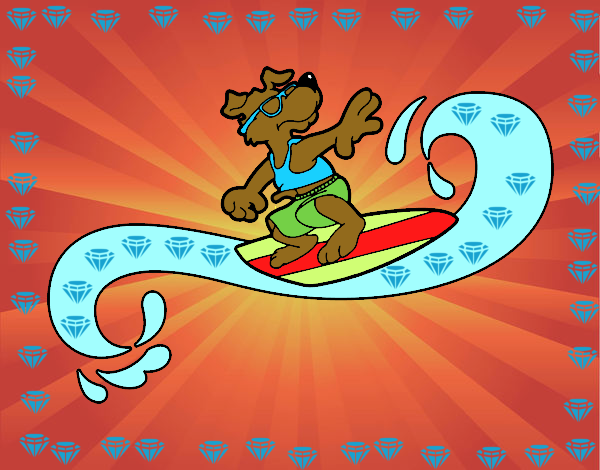 Cão surfing