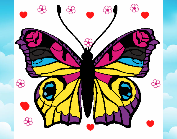 borboleta mais linda do mundo