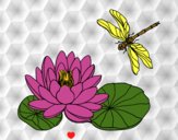 Desenho Flor de lotus pintado por novinha