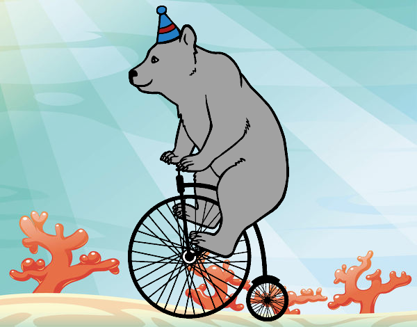 Desenho Urso em uma bicicleta pintado por Davi1203