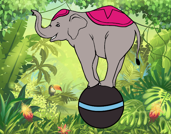 Desenho Elefante equilibrista pintado por amanda09