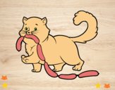 Desenho Gato com salsicha pintado por novinha