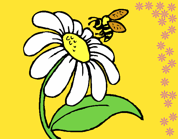 Desenho Margarida com abelha pintado por novinha
