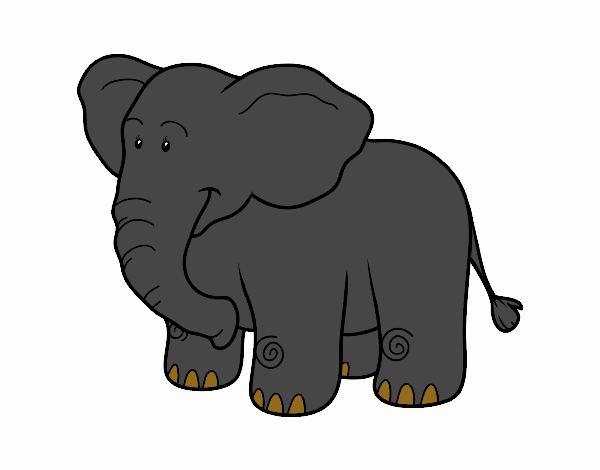 Um elefante Africano