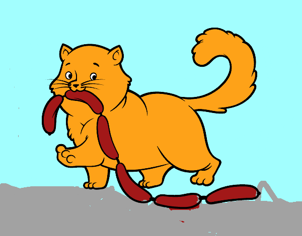 Gato com salsicha