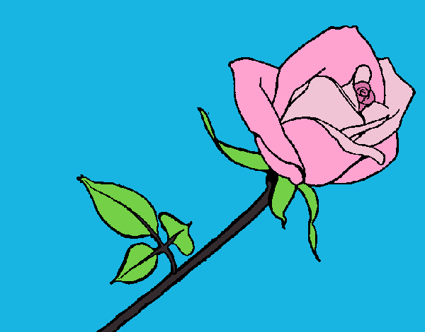 Desenho Rosa pintado por carmasiana