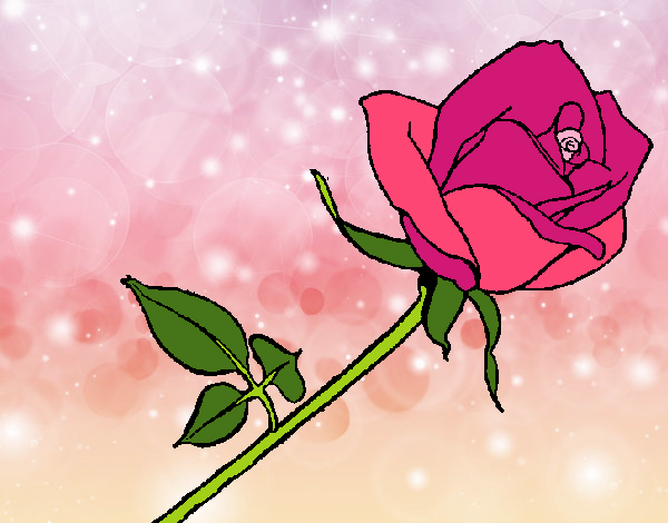 Desenho Rosa pintado por Gisla