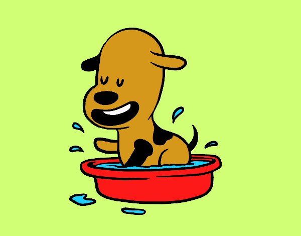 Um cachorro na banheira