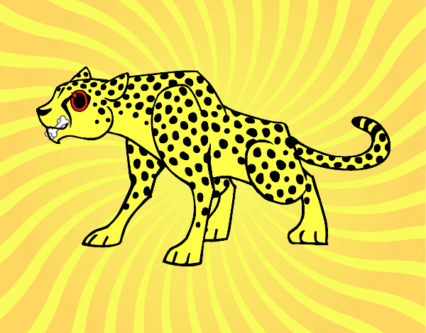 Um guepardo