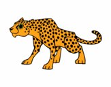 Desenho Um guepardo pintado por Roflor