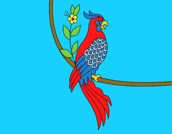 Desenho Tatuagem de papagaio pintado por ROSE123