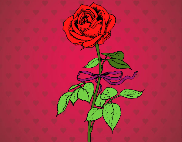 A rosa do Amor 