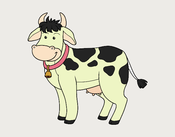 Vaca de fazenda