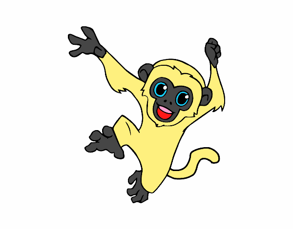 Desenho de Macaco-prego bebê pintado e colorido por Usuário não registrado  o dia 14 de Novembro do 2016