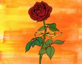 Desenho Uma rosa pintado por AkaManah
