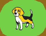 Desenho Cão Beagle pintado por colori
