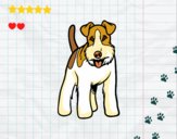 Desenho Cão Fox Terrier pintado por colori