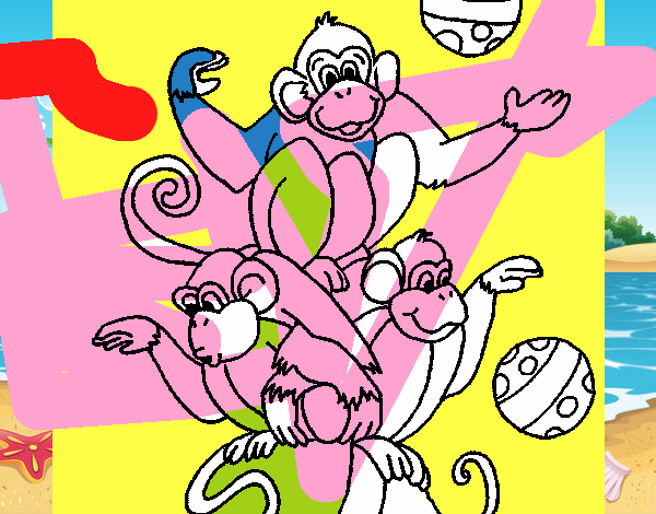 Macacos a fazer malabarismos