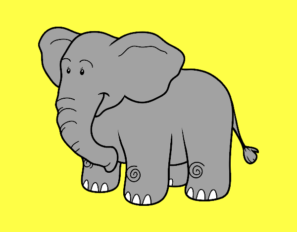 Um elefante Africano