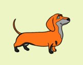 Desenho Cão dachshund pintado por brankuzo 