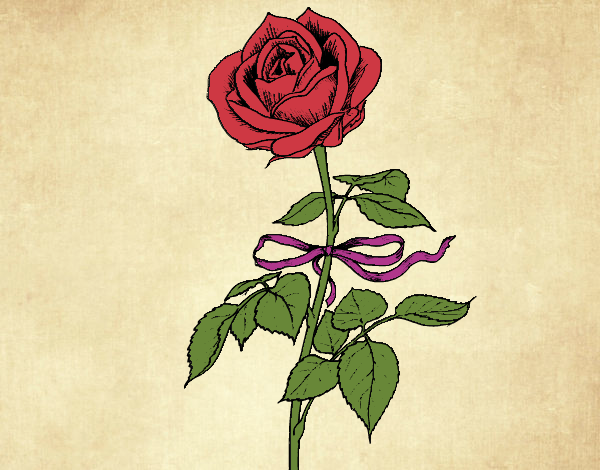 Desenho Uma rosa pintado por CamillaD
