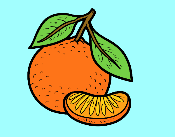 Desenho Uma tangerina pintado por JPjoao