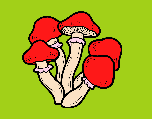 Desenho Cogumelos venenosos pintado por JPjoao